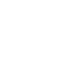 Express Icon